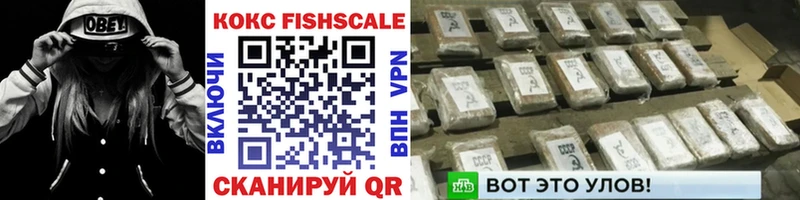 МЕГА ТОР  магазин  наркотиков  Славск  Кокаин Fish Scale 