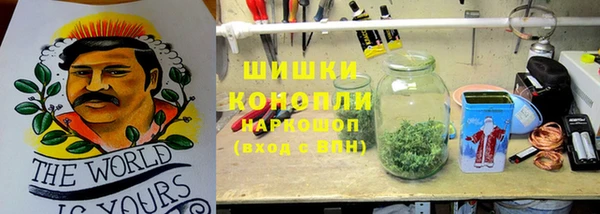 мяу мяу мука Арсеньев