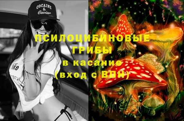 мяу мяу мука Арсеньев